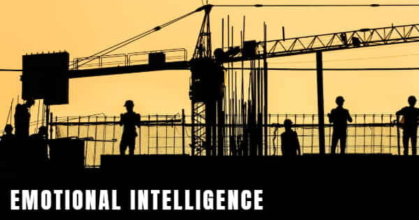 emotional intelligence in project management