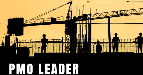 12 Powerful PMO Leadership Skills and Competencies for Success PMO leadership skills and competencies