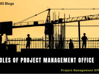 Roles of a Project Management Office